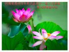 Published on 2/15/2018 ���ֹ�,���󷨵��ӹ�ףʦ������(30��)