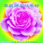 ���ֹ�,ɽ���󷨵��ӹ�ףʦ������(25��)