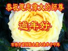 Published on 2/16/2018 ���ֹ�,�����������졡��½���ϵ�󷨵��ӹ�ףʦ�������
