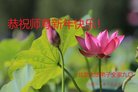 Published on 2/16/2018 ���ֹ�,��������׷��ִ󷨺á���ףʦ�������