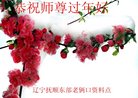 Published on 2/16/2018 ���ֹ�,�����������졡��½���ϵ�󷨵��ӹ�ףʦ�������