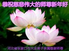 Published on 2/15/2018 ���ֹ�,���ش󷨵ú� ��½���ڸж�ʦ��