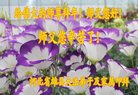 Published on 2/15/2018 ���ֹ�,���ش󷨵ú� ��½���ڸж�ʦ��