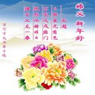 ���ֹ�,���ϴ󷨵��ӹ�ףʦ�������(24��)