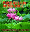 ���ֹ�,���󷨵��ӹ�ףʦ�������(20��)