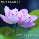 ���ֹ�,���մ󷨵��ӹ�ףʦ�������(25��)