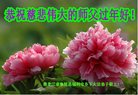 ���ֹ�,�������󷨵��ӹ�ףʦ�������(26��)