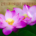 ���ֹ�,�����󷨵��ӹ�ףʦ�������(20��)