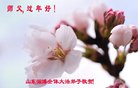 Published on 2/16/2018 ���ֹ�,��½�󷨵��ӹ�ףʦ�������(34��)