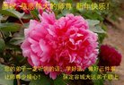 ���ֹ�,�����󷨵��ӹ�ףʦ�������(26��)