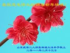 Published on 2/16/2018 ���ֹ�,��½�󷨵��ӹ�ףʦ�������(37��)