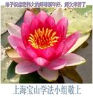 ���ֹ�,�Ϻ��󷨵��ӹ�ףʦ�������(30��)