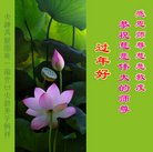 ���ֹ�,�����󷨵��ӹ�ףʦ�������(24��)