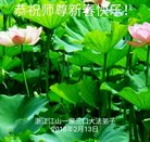 ���ֹ�,�㽭�󷨵��ӹ�ףʦ�������(20��)