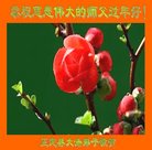 ���ֹ�,�ӱ��󷨵��ӹ�ףʦ�������(23��)