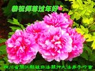Published on 2/16/2018 ���ֹ�,�ȶ�������ع㡡���ں���־����
