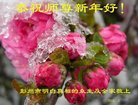 Published on 2/16/2018 ���ֹ�,��лл���ʦ��лл���ֹ���