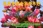 Published on 2/16/2018 ���ֹ�,��лл���ʦ��лл���ֹ���