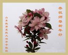 Published on 2/17/2018 ���ֹ�,������ʮ����ҵ�Ĵ�½�󷨵��ӹ�ףʦ�������