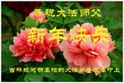Published on 2/16/2018 ���ֹ�,��лл���ʦ��лл���ֹ���