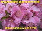 Published on 2/17/2018 ���ֹ�,������ʮ����ҵ�Ĵ�½�󷨵��ӹ�ףʦ�������