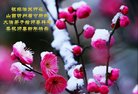 Published on 2/16/2018 ���ֹ�,�ȶ�������ع㡡���ں���־����