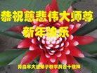 Published on 2/17/2018 ���ֹ�,����÷����������������ѧԱ���깧��ʦ��