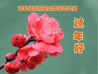 Published on 2/16/2018 ���ֹ�,��лл���ʦ��лл���ֹ���
