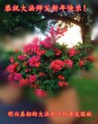 Published on 2/16/2018 ���ֹ�,��лл���ʦ��лл���ֹ���