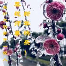 ���ֹ�,��ɳ�󷨵��ӹ�ףʦ�������(26��)