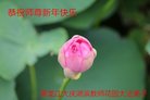 Published on 2/16/2018 ���ֹ�,����ϵͳ�󷨵��ӹ�ףʦ�������(20��)