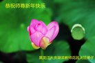 Published on 2/16/2018 ���ֹ�,����ϵͳ�󷨵��ӹ�ףʦ�������(20��)