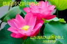 Published on 2/17/2018 ���ֹ�,���󷨵��ӹ�ףʦ�������(27��)