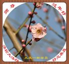 ���ֹ�,�������󷨵��ӹ�ףʦ�������(18��)