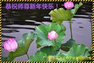 ���ֹ�,����󷨵��ӹ�ףʦ�������(24��)