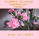 ���ֹ�,�ӱ��󷨵��ӹ�ףʦ�������(29��)