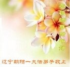 ���ֹ�,�����д󷨵��ӹ�ףʦ�������(23��)