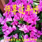 ���ֹ�,���󷨵��ӹ�ףʦ�������(25��)