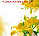 ���ֹ�,�����󷨵��ӹ�ףʦ�������(23��)