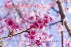Published on 2/16/2018 ���ֹ�,��½�󷨵��ӹ�ףʦ�������(29��)
