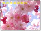 Published on 2/16/2018 ���ֹ�,��½�󷨵��ӹ�ףʦ�������(36��)