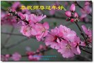 Published on 2/16/2018 ���ֹ�,��½�󷨵��ӹ�ףʦ�������(36��)