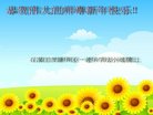 ���ֹ�,ʯ��ׯ�󷨵��ӹ�ףʦ�������(29��)
