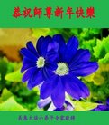 Published on 2/17/2018 ���ֹ�,�����ˡ���½��С���Ӹ��ȱ�ΰ���ʦ������