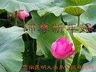 Published on 2/18/2018 ���ֹ�,�½������ϡ��㽭�󷨵��ӹ�ףʦ�������(34��)