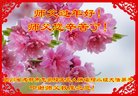 Published on 2/17/2018 ���ֹ�,����ʦ����ֽ����ࡡ��½���ӹ�ףʦ������