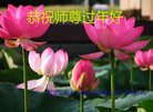 Published on 2/17/2018 ���ֹ�,�����ˡ���½��С���Ӹ��ȱ�ΰ���ʦ������