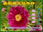 Published on 2/17/2018 ���ֹ�,���������žۡ�ȫ�����ʦ�����