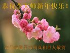 Published on 2/17/2018 ���ֹ�,�ƴ��󷨡��ص����ơ���½���ڸ�лʦ�����