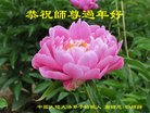 Published on 2/17/2018 ���ֹ�,�ƴ��󷨡��ص����ơ���½���ڸ�лʦ�����